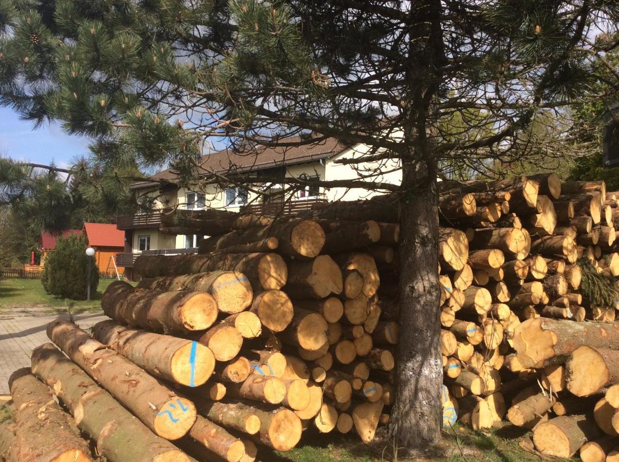 Ferienwohnung Harzblick 1 Braunlage Zewnętrze zdjęcie