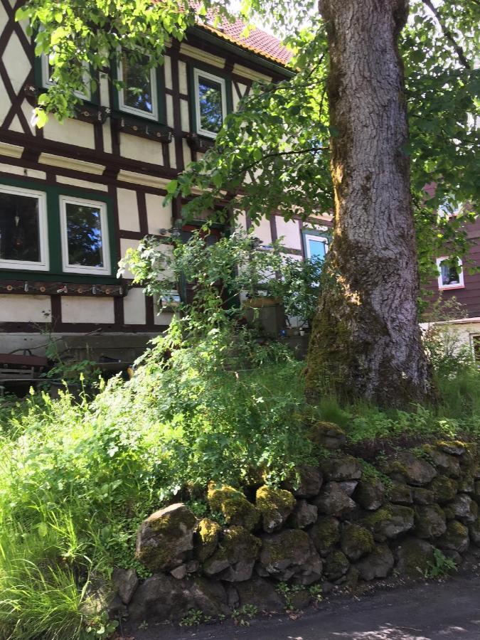 Ferienwohnung Harzblick 1 Braunlage Zewnętrze zdjęcie